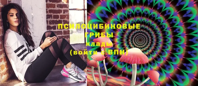 Псилоцибиновые грибы Magic Shrooms  купить   Белозерск 